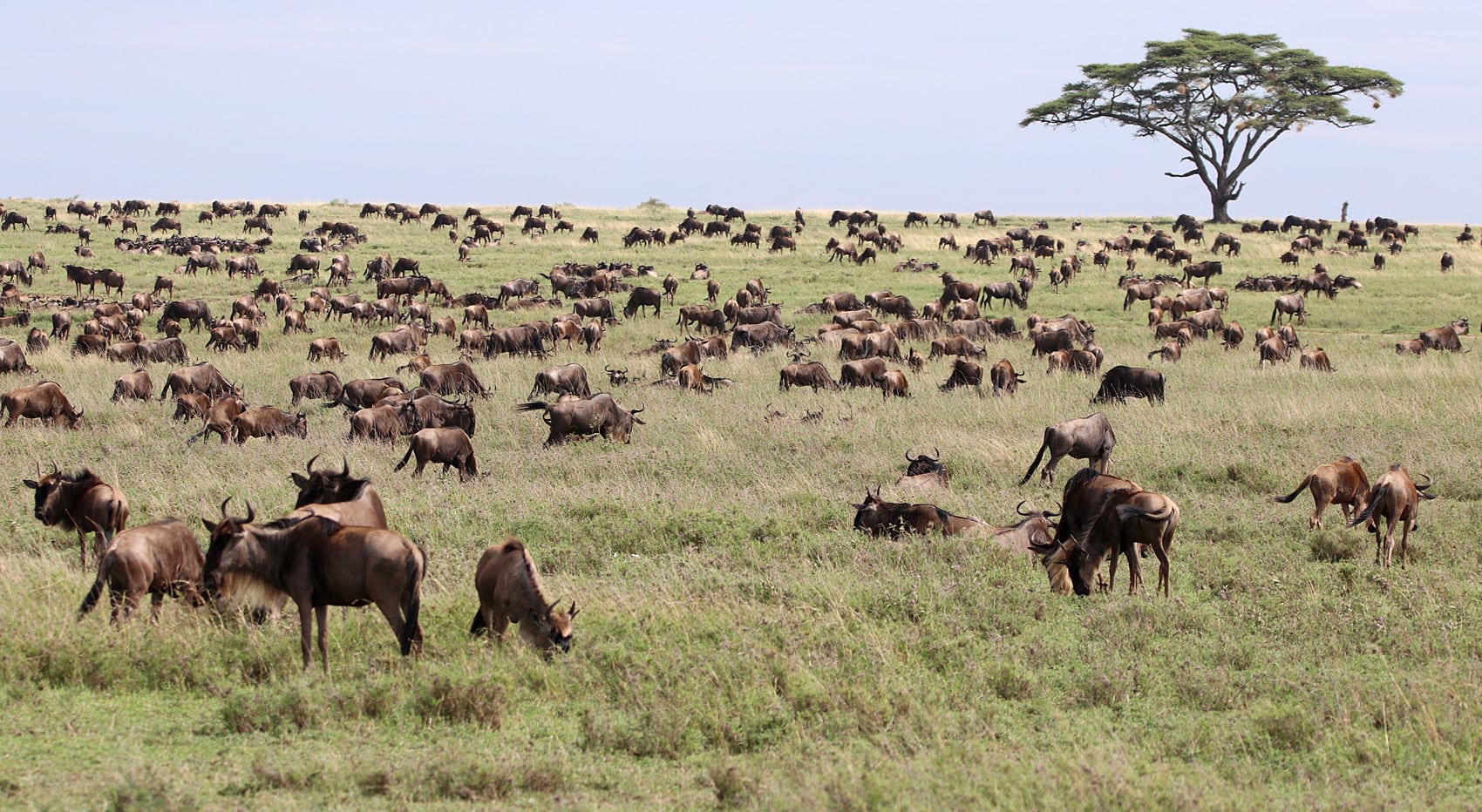 Naturschutzgebiete Kenia sehenswert