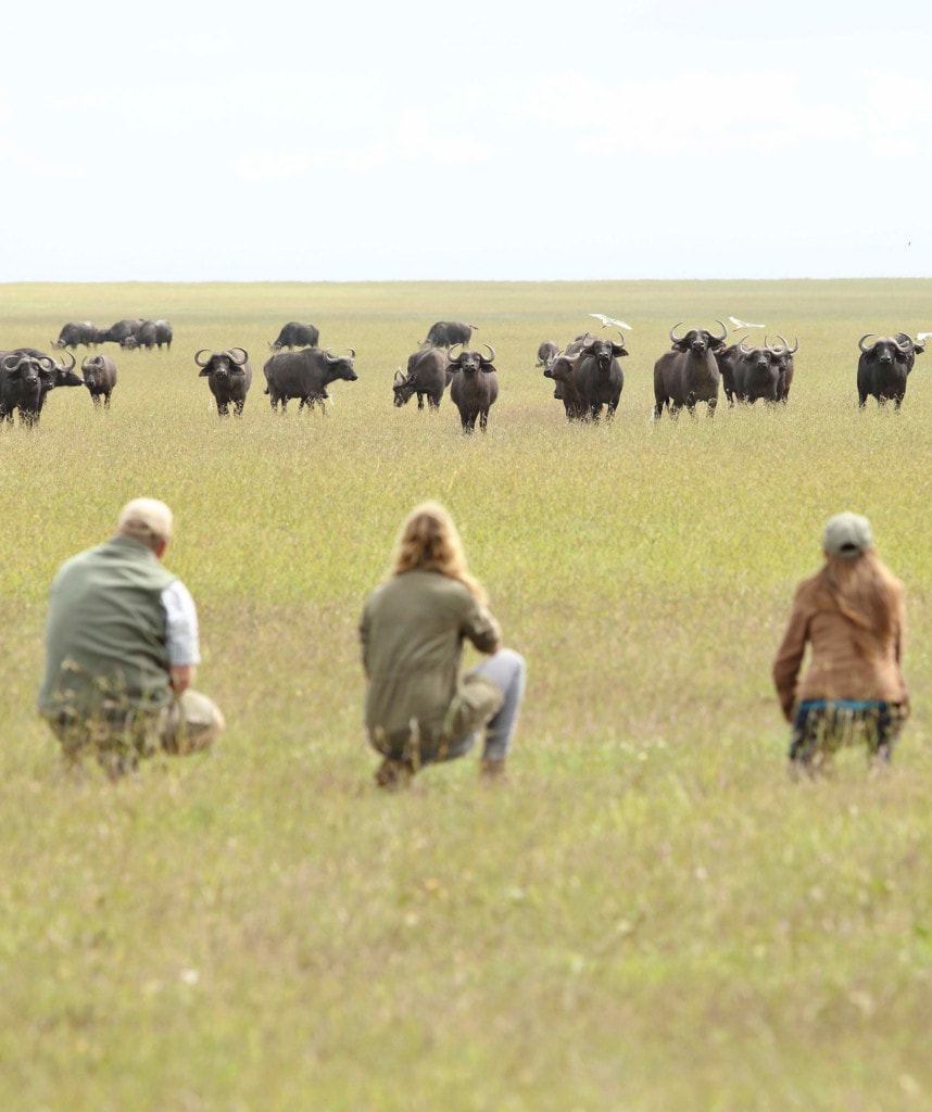 Walking Safari auf Flugsafaris erleben