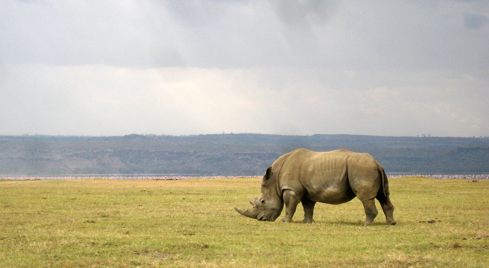 Beste Safari Orte Kenia Nakuru