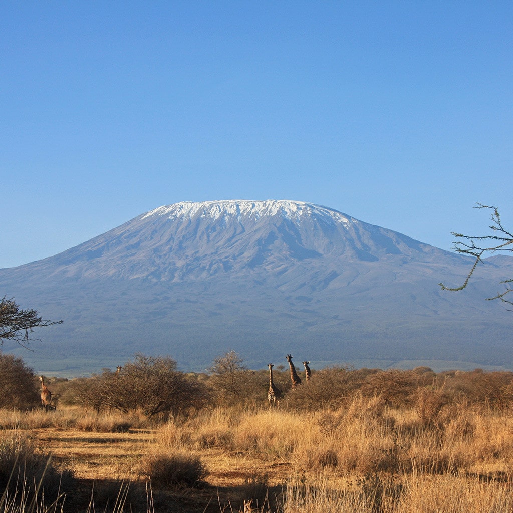Kilimanjaro Camping Safari Kenia & Tansania
