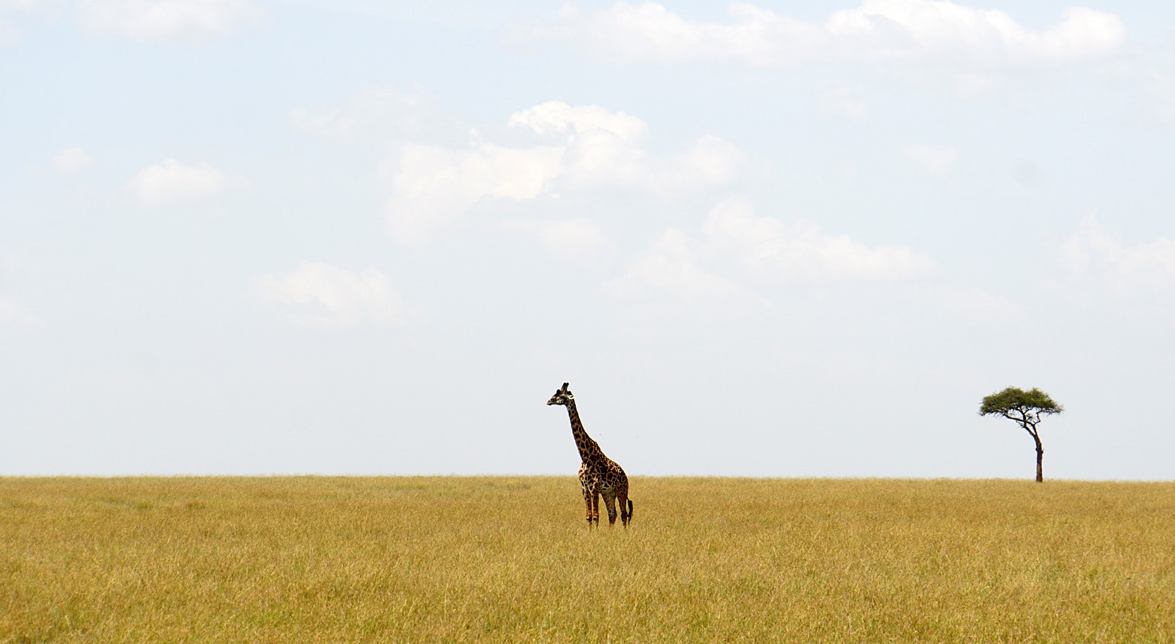 Schönste Naturschutzgebiete Kenia welche