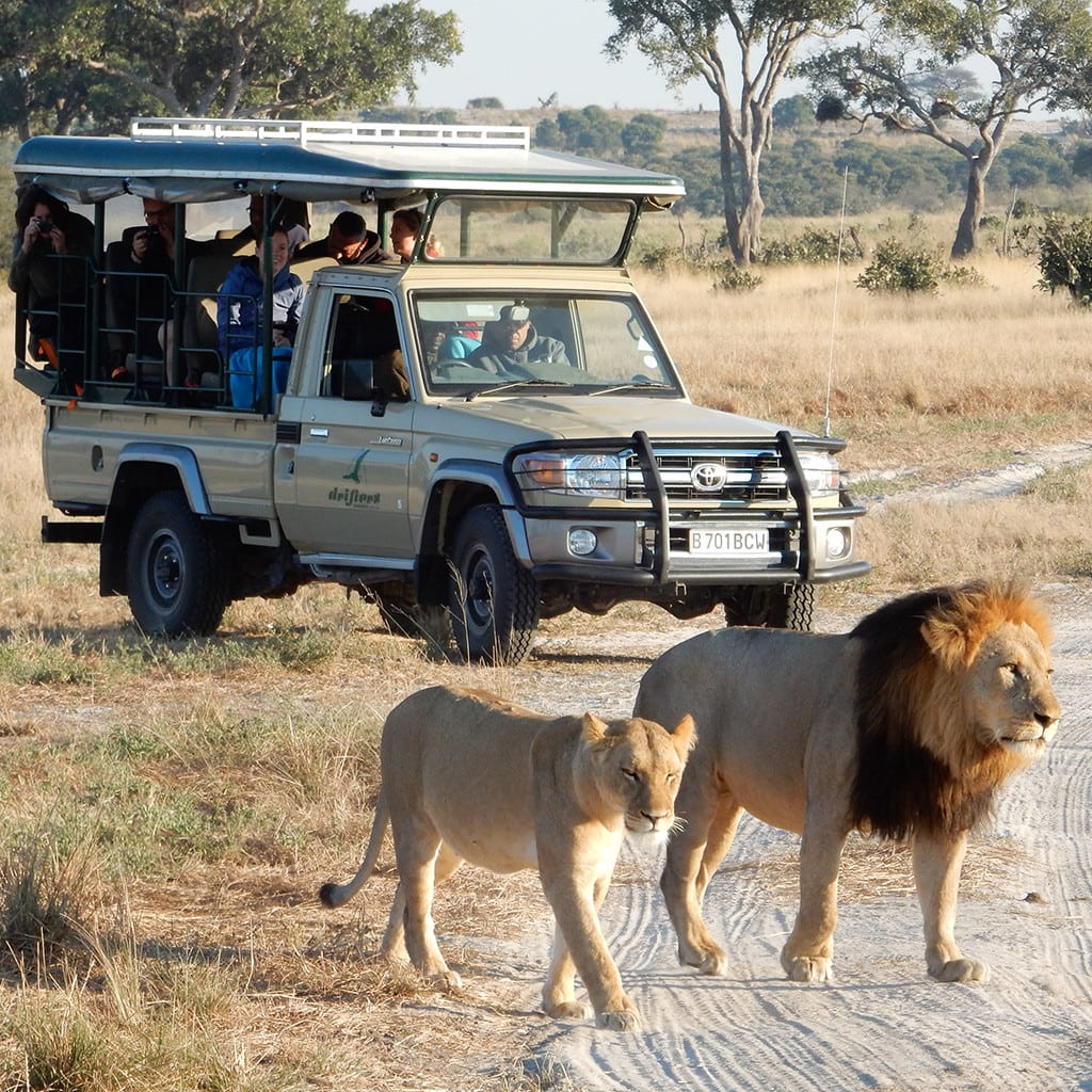 Gefuehrte Rundreise Botswana Simbabwe