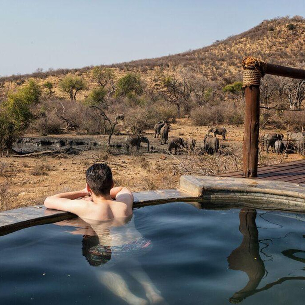 Madikwe Safari Impodimo Pool