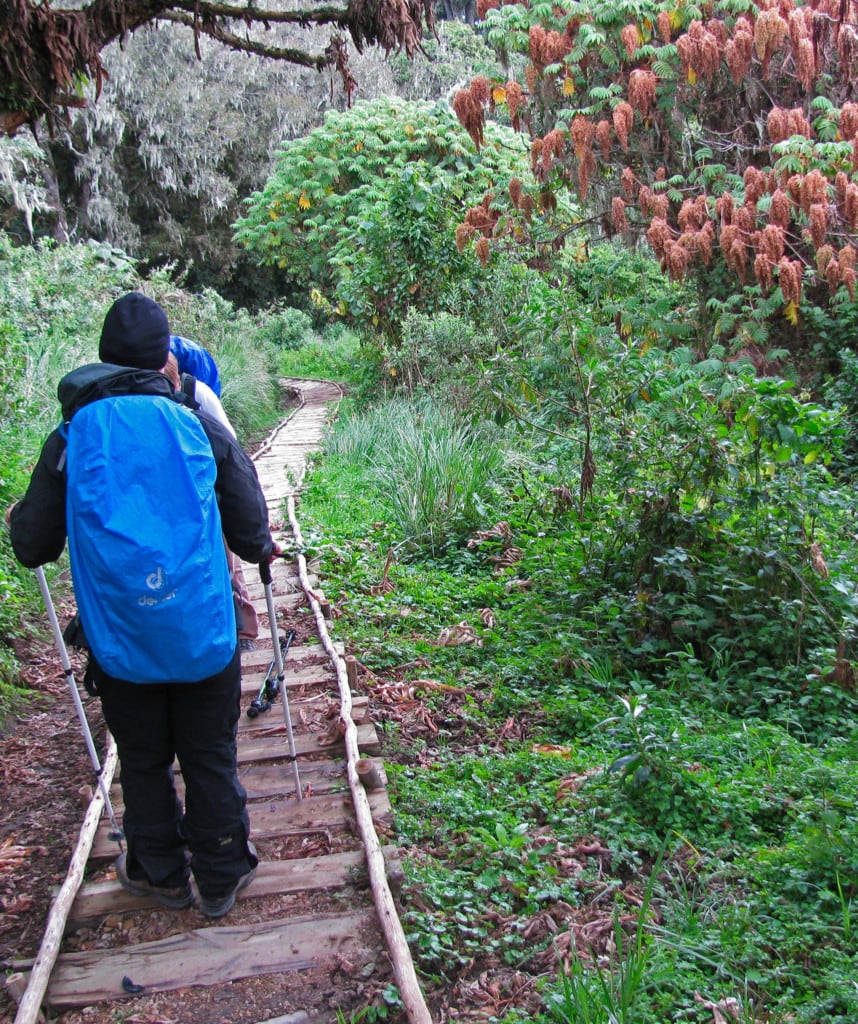 Mt Meru Vier Tage Trekking Tour Abstieg