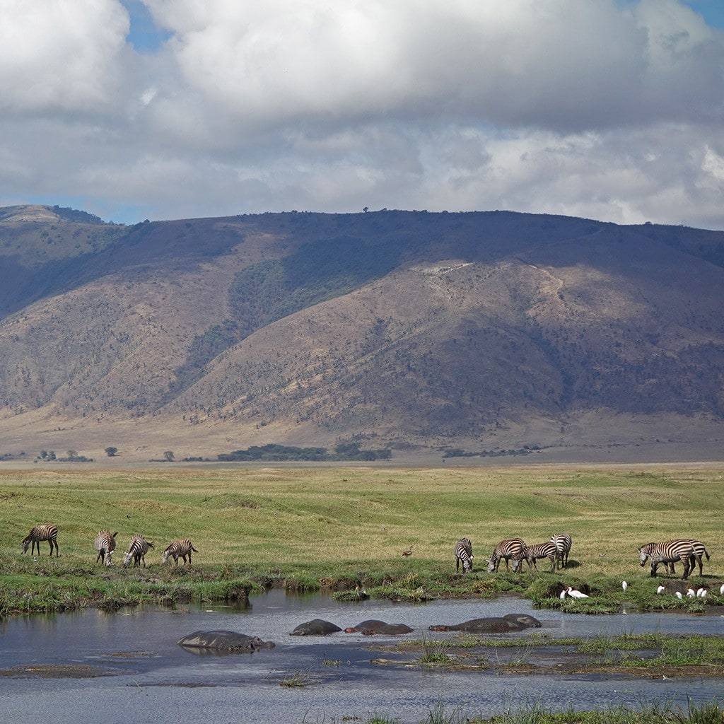 Ngorongoro Krater Camping Safari