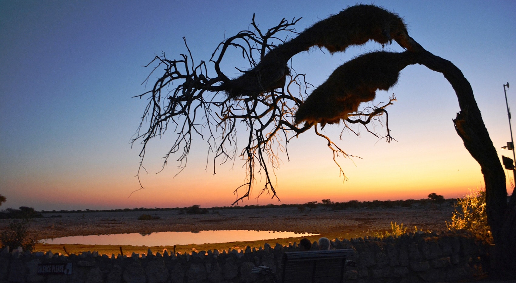 Wasserloch Namibia Nashorn wo beobachten