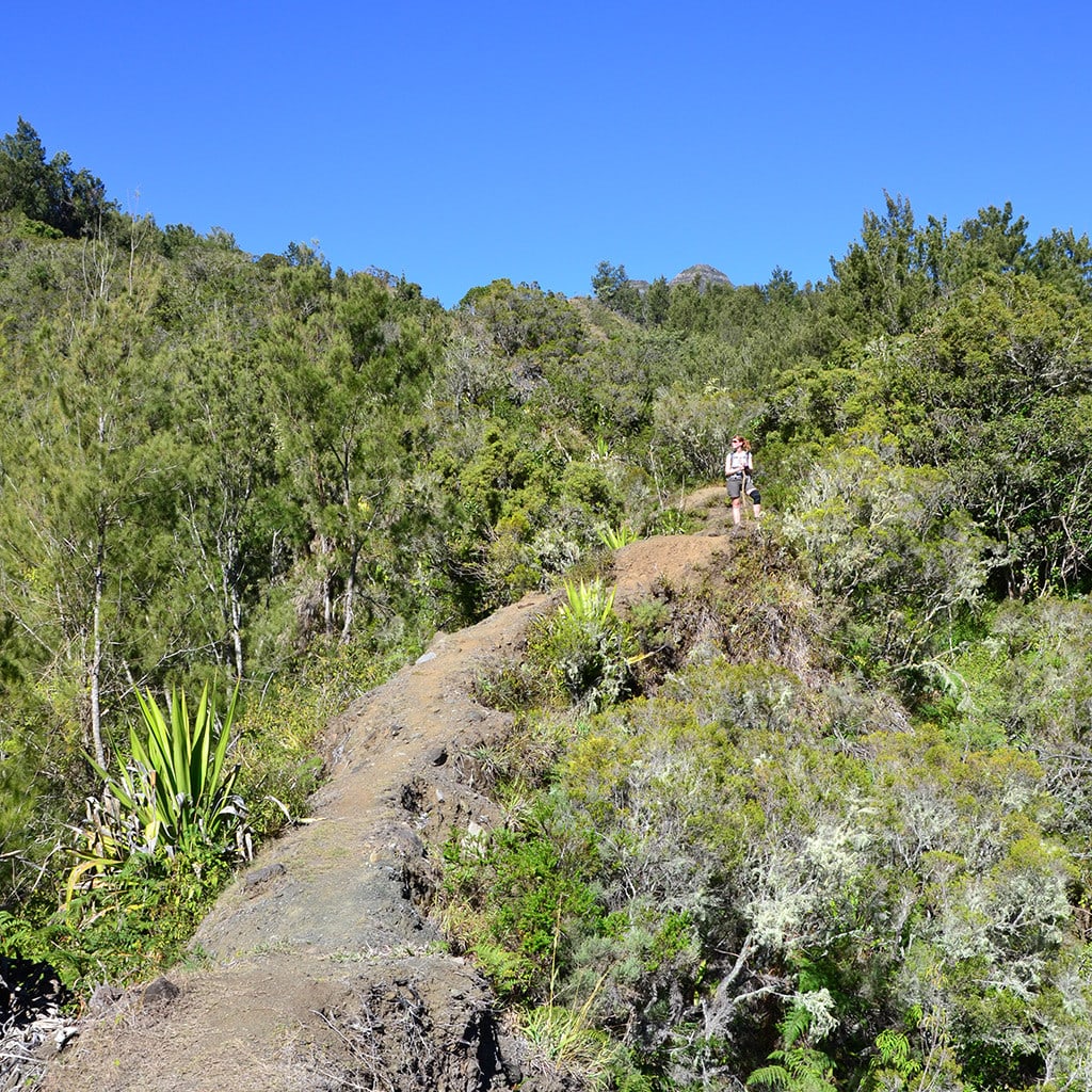 Trekking Reise Individuell La Reunion