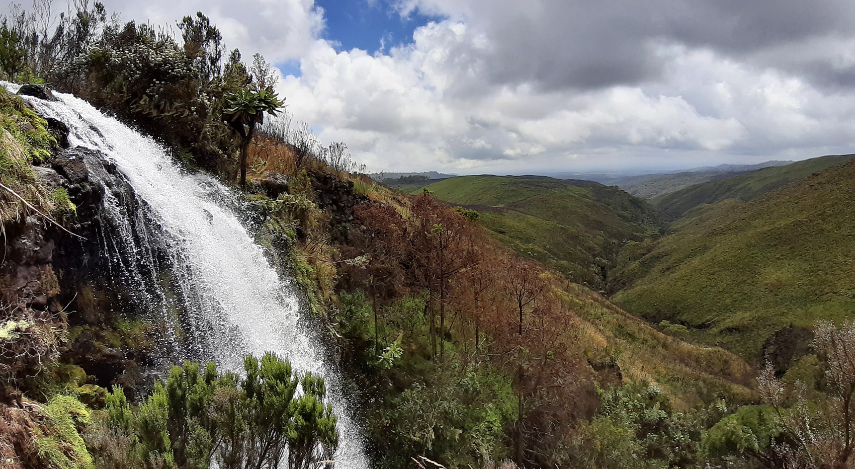 Wo beste Safari Kenia Mt-Kenya