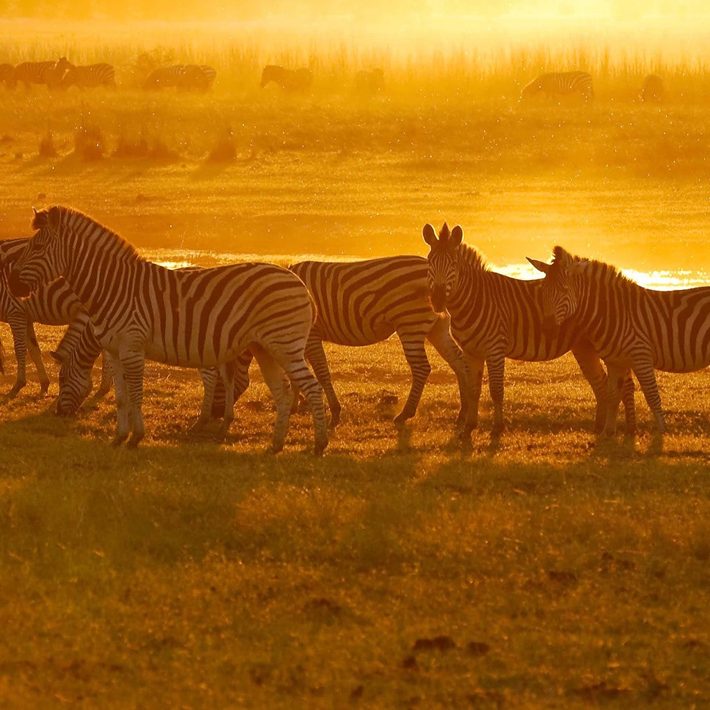 Rundreise Botswana Simbabwe Overland Gruppe