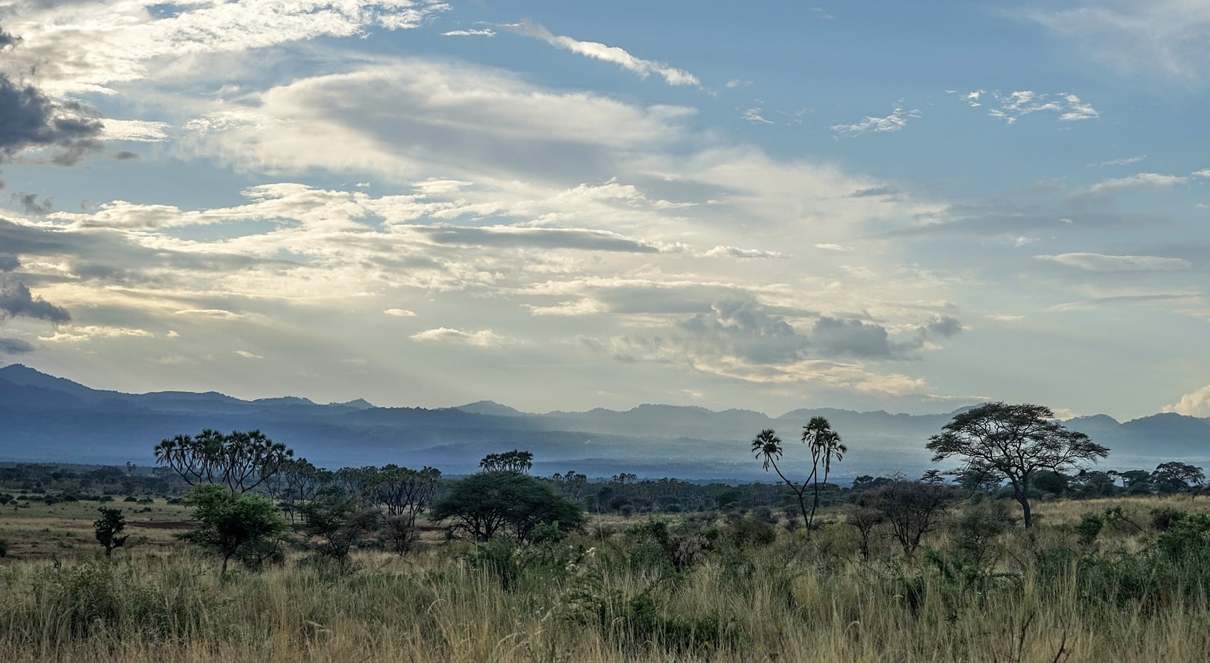 Meru Nationalpark Kenia