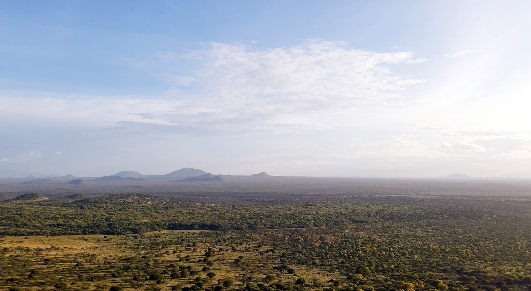 Tsavo Big five Gebiete Afrika
