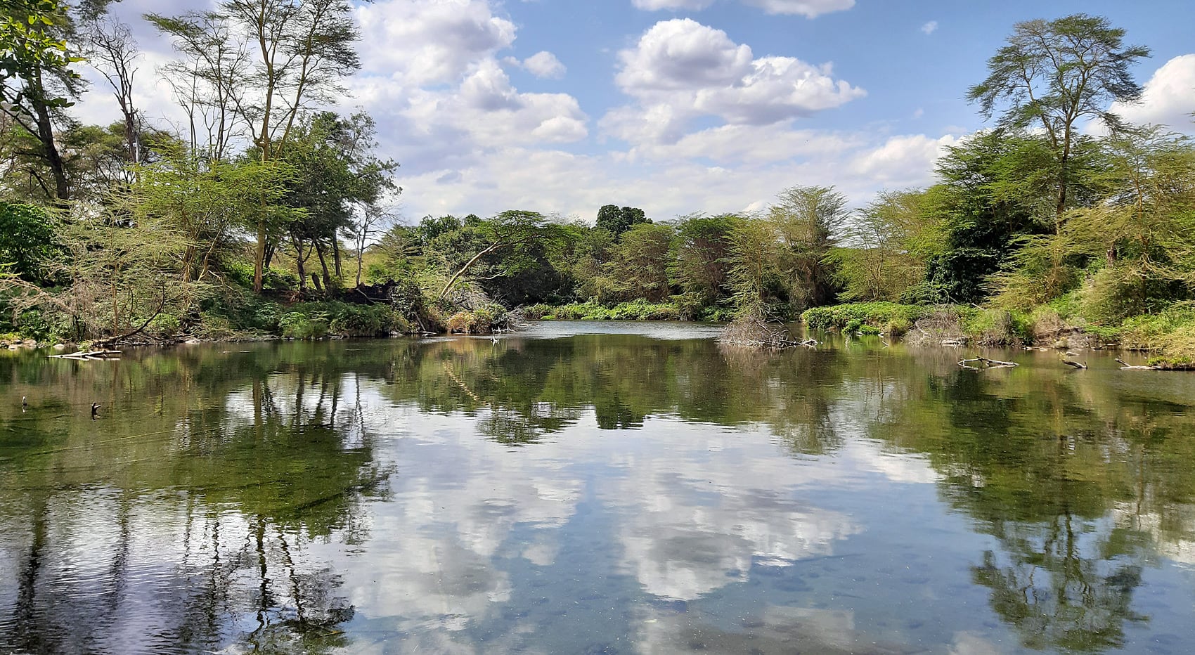 Welche Naturschutzgebiete Kenia Mzima Springs