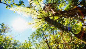 Afrika Reisen La Reunion