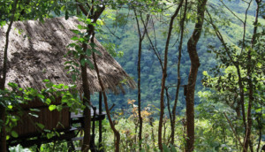 Afrika Reisen Malawi