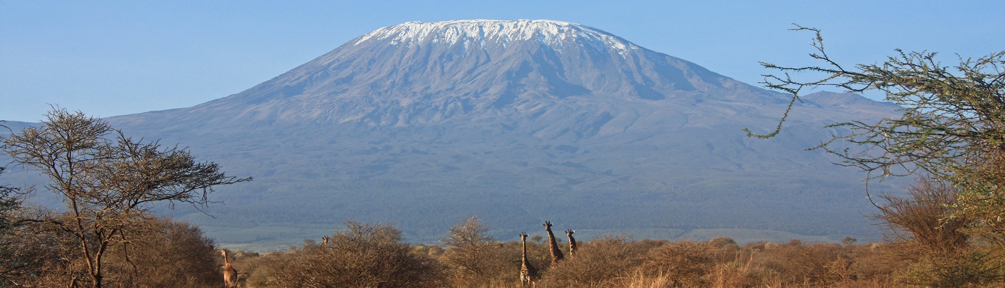 Beste Safari in Kenia