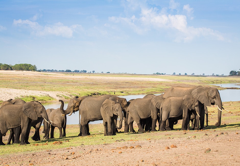Botswana Reise Moremi Chobe