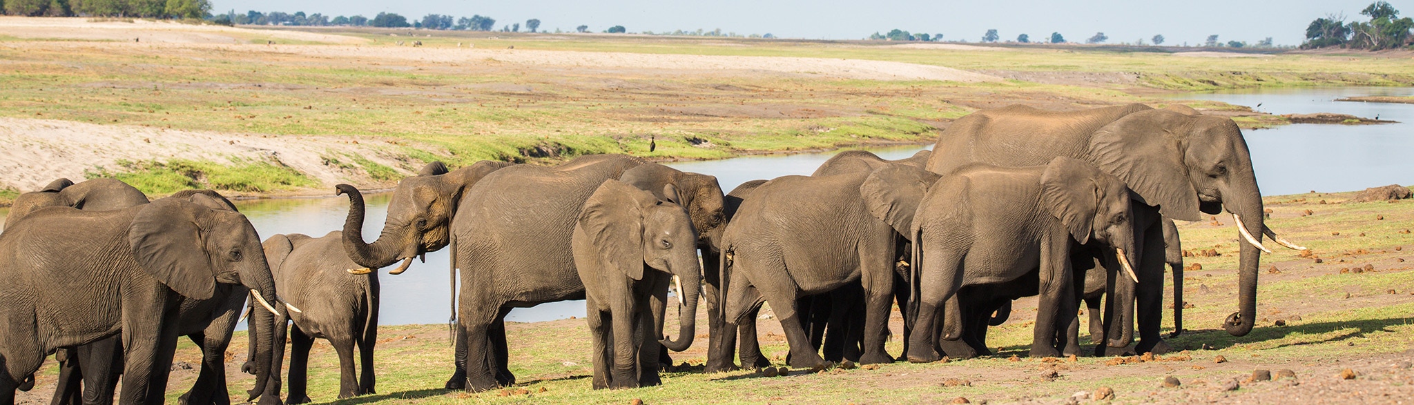 Botswana Reise Moremi Chobe