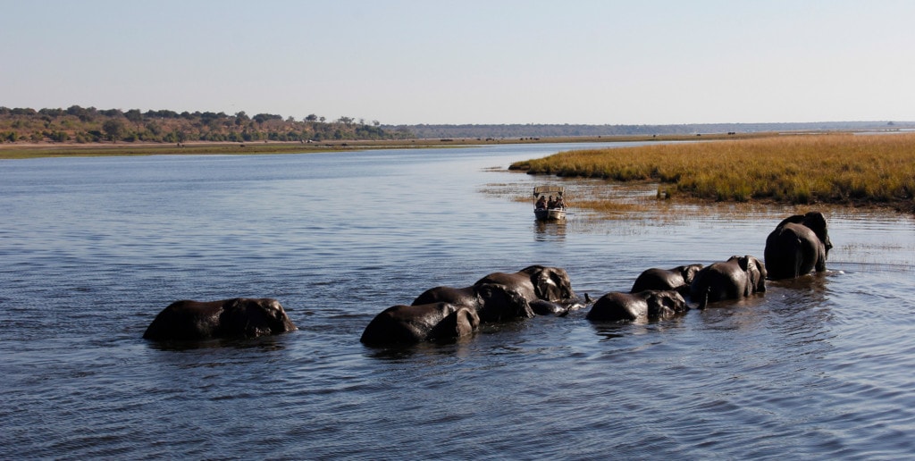 Botswana Safaris