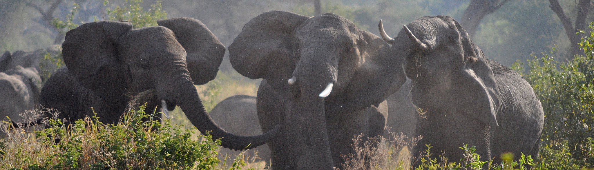 Camping Safari Tansania Kenia