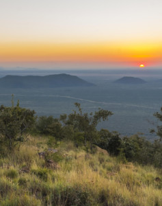 Madikwe Safari