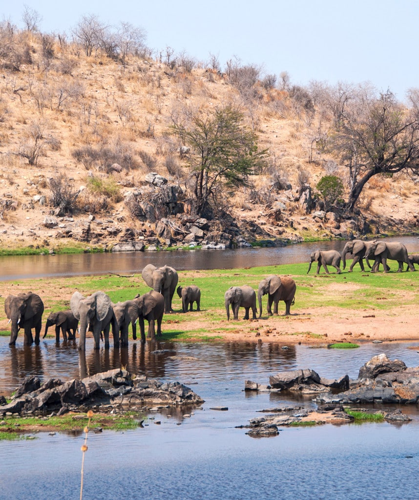 Liwonde Nationalpark Malawi Reisen Highlight