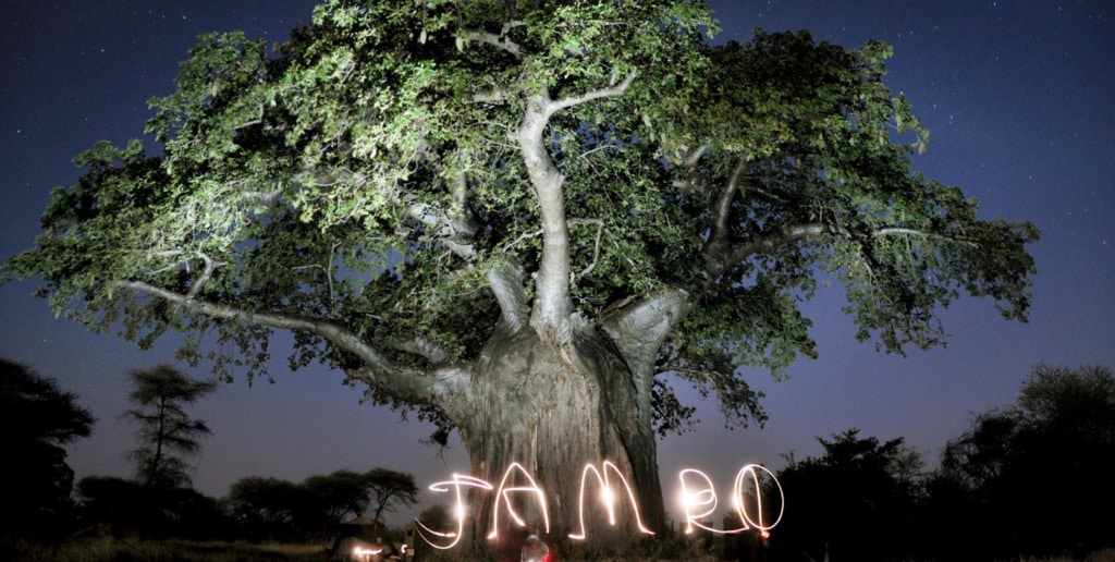 Mobile Camping Safaris in Tansania
