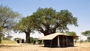 Mobile Safaris Mobile Explorer Camp