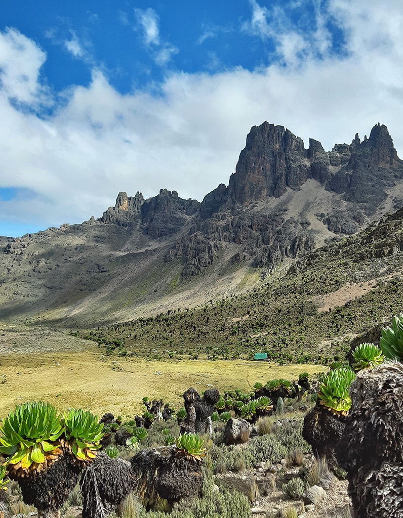 Mt Kenia Besteigung