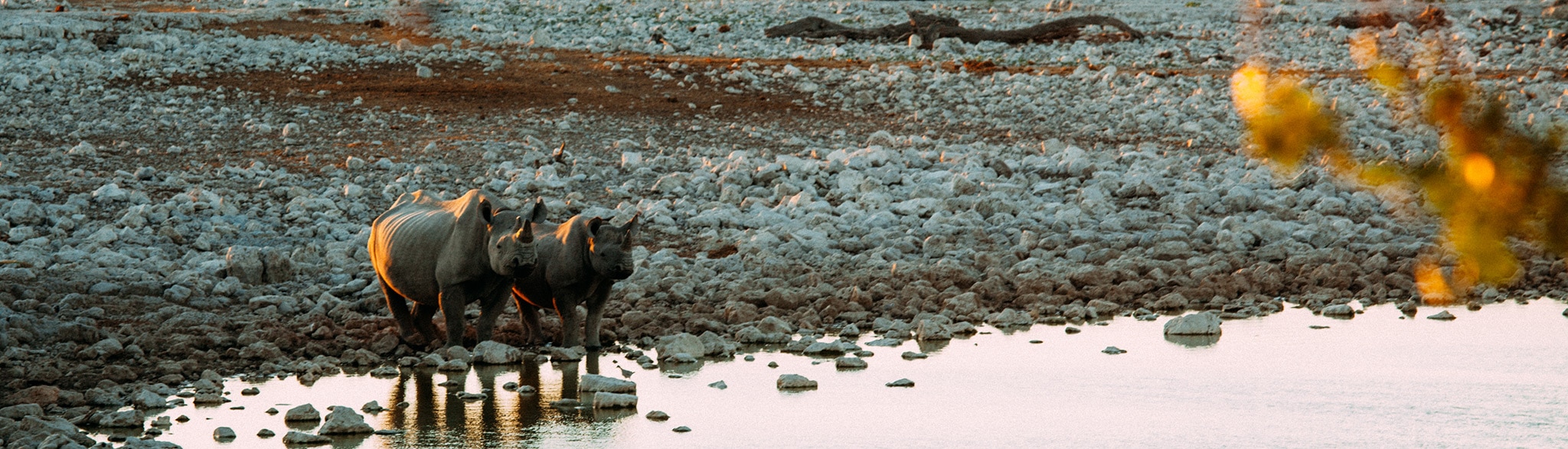 Namibia Botswana Selbstfahrer Rundreise