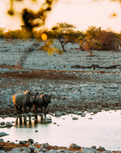 Namibia Botswana Selbstfahrer Rundreise