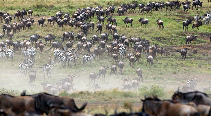 Migration in Kenia