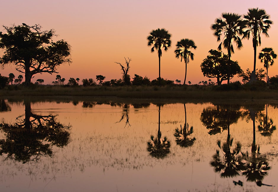 Privatsafari Namibia und Botswana