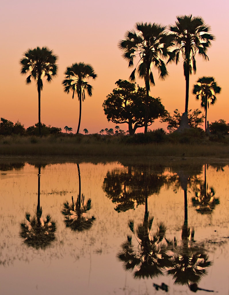 Selbstfahrerreisen Botswana