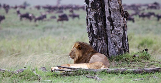 Tansania Sehenswürdigkeiten Northern Circuit
