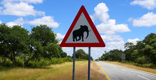 Bwabwata Nationalpark Namibia