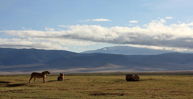 Lohnenswert Tansania Northern Circuit