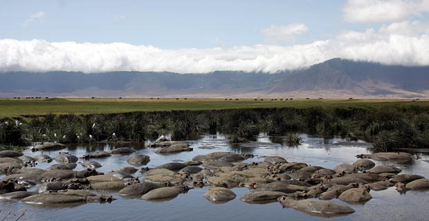 Sehenswerte Highlights Tansania Safari