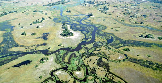 Jetzt Botswana Reise trotz Covid-19