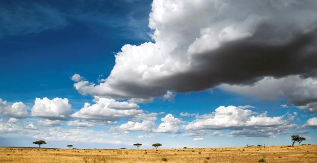 Lebensraum Hyänen Serengeti Lebensraum Hyänen Serengeti