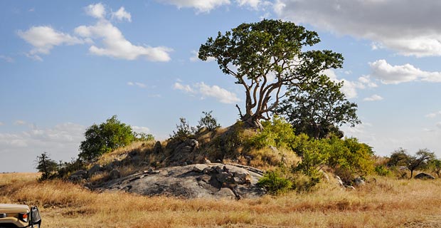 Serengeti schönster Nationalpark Tansania