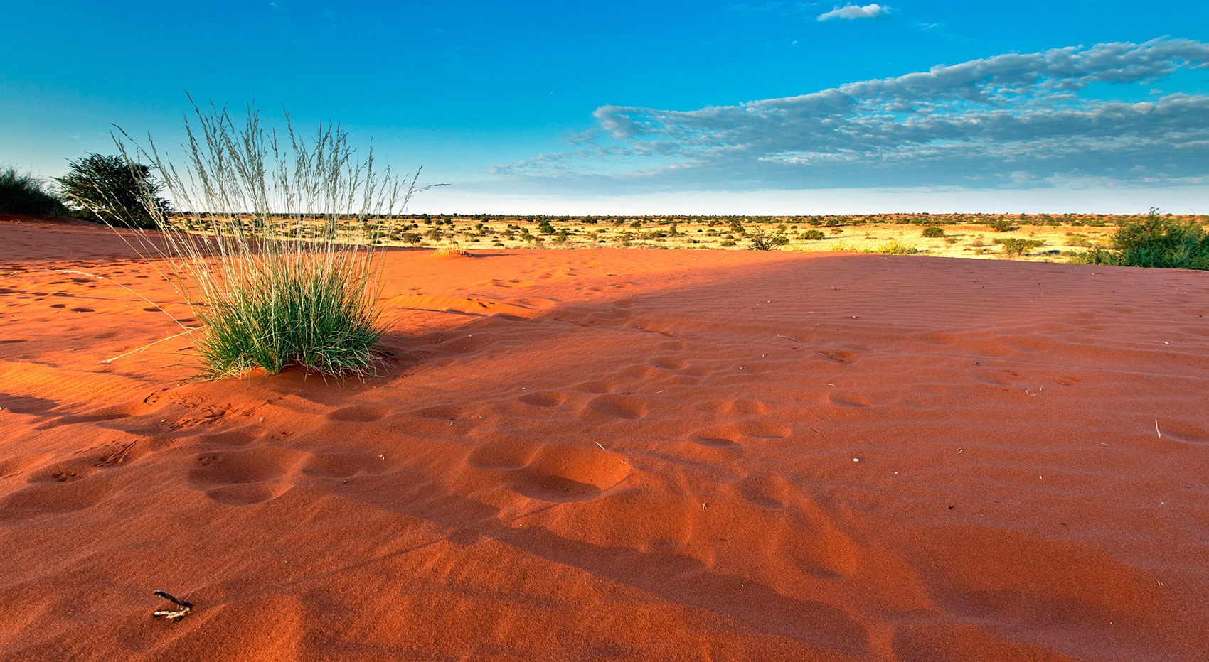 Welche Nationalparks Botswana Kgalagadi