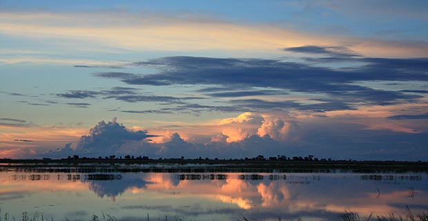 Chobe River Regenzeit Botswana