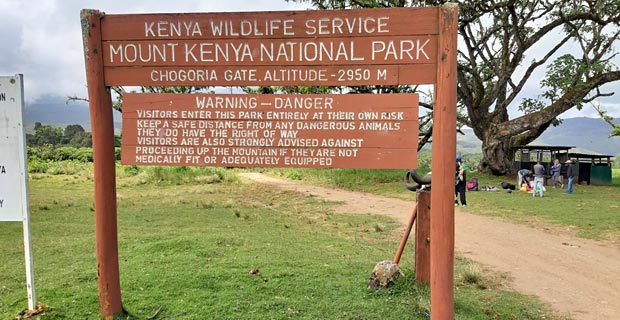 Chogoria Route Mt Kenya trekking