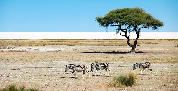 Jetzt reisen wohin Namibia