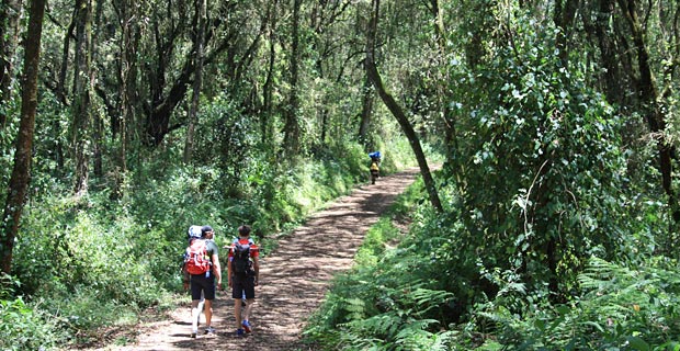 Sehenswert Tansania Kilimandscharo