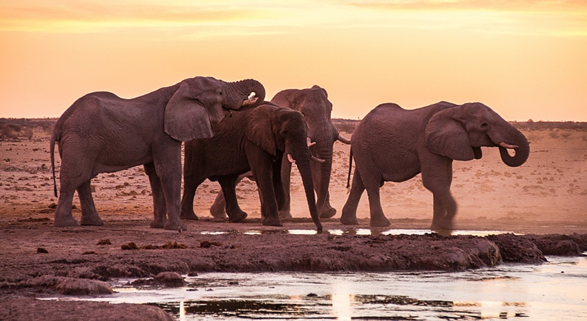 Welche schönste Naturschutzgebiete Botswana
