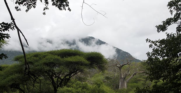 Wo kann man auf Safari gehen Tansania Udzungwa Mountains
