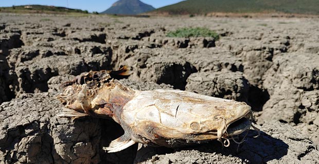 Woher bekommt Kapstadt Wasser