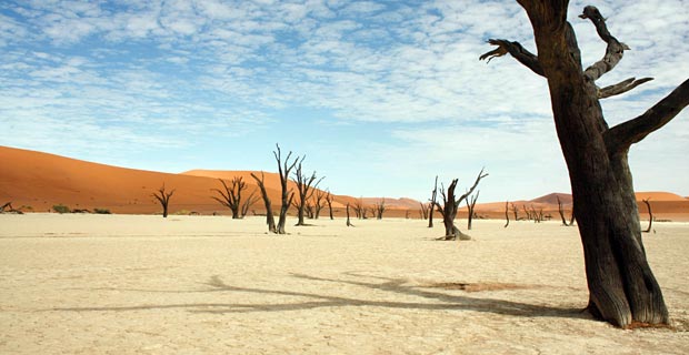 Deadvlei Namib Naukluft Park sehenswert