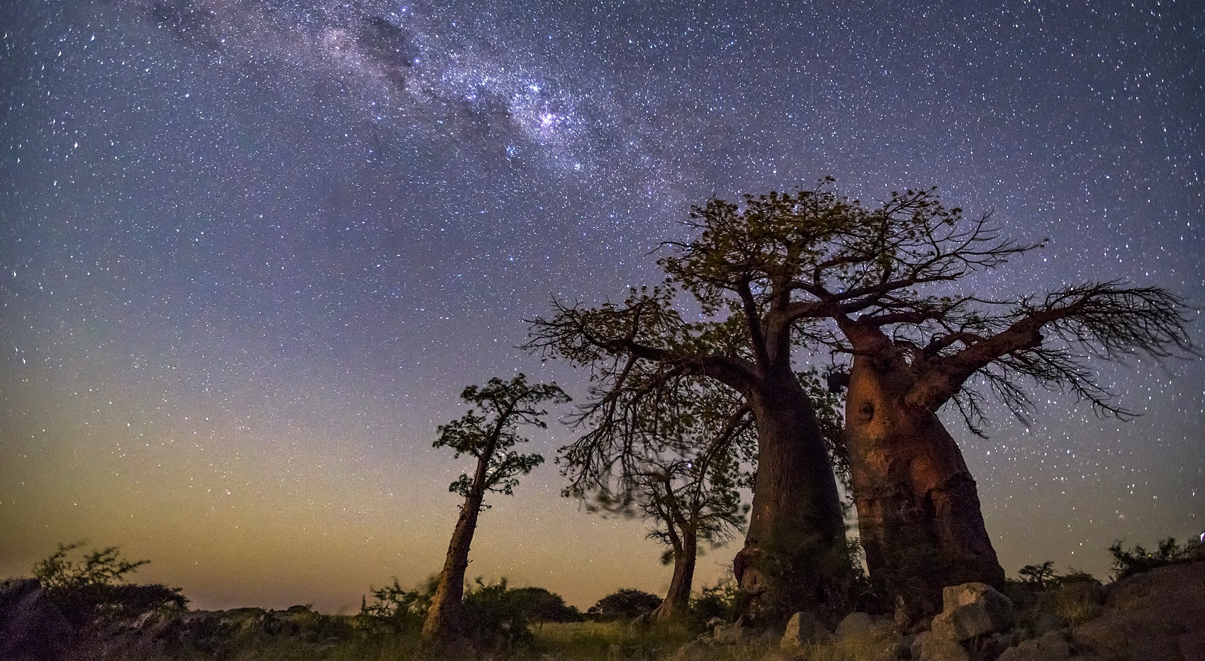Nxai Pans Sehenswerte Nationalparks Botswana